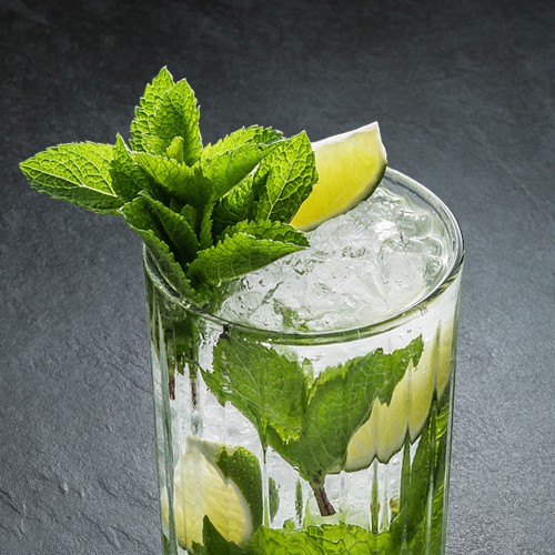 Mojito